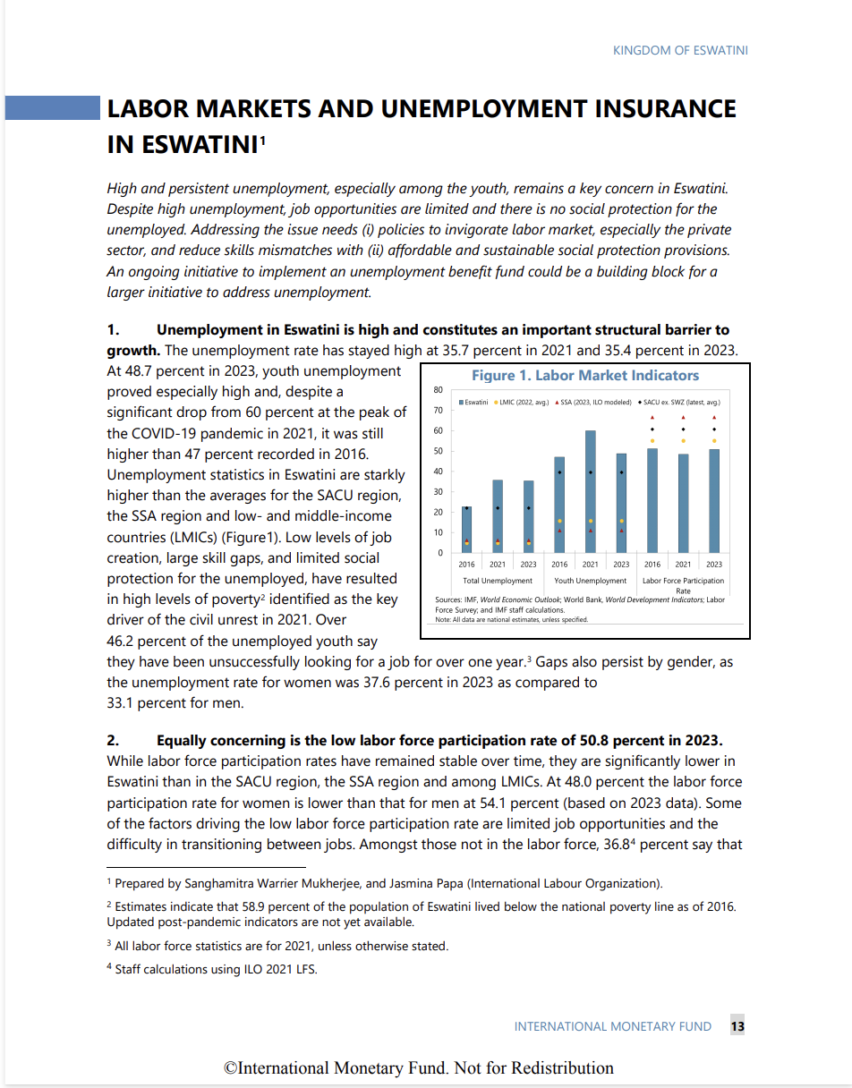 Labour Markets and Unemployment Insurance in Eswatini 