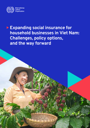 Expanding social insurance for household businesses in Viet Nam: Challenges, policy options, and the way forward
