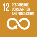 Ensure sustainable consumption and production patterns SDG